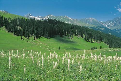 Ridge Inn Kalam in Pakisztán Északi Területe