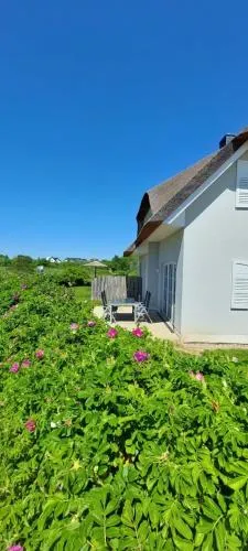 zwisch Boltenhagen und Pötenitz Ostseeurlaub bis 6 Pers "Alte Liebe"Haus B in Dassow, Deutschland