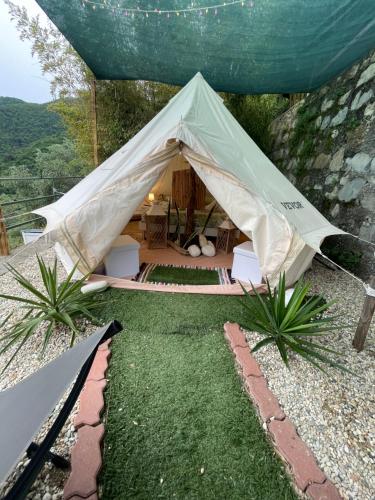 Re dream suite a tema - Rapallo