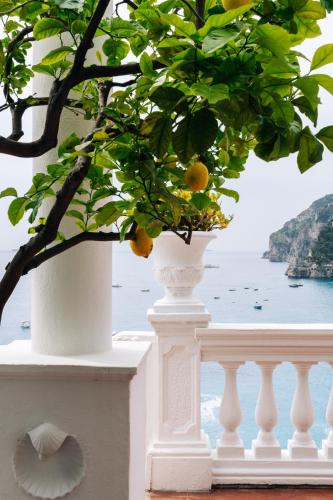 One-Bedroom Apartment with Terrace and Sea View image 1