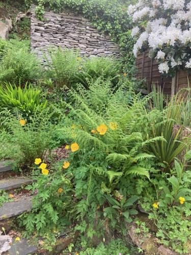 Charming Cottage Eglwysfach