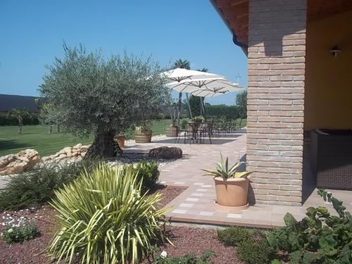 Agriturismo Le Case Di Campagna - image 4