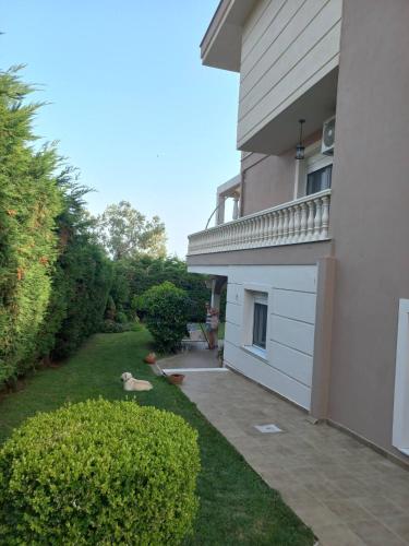 Abby Seaview House Abby Seaview House