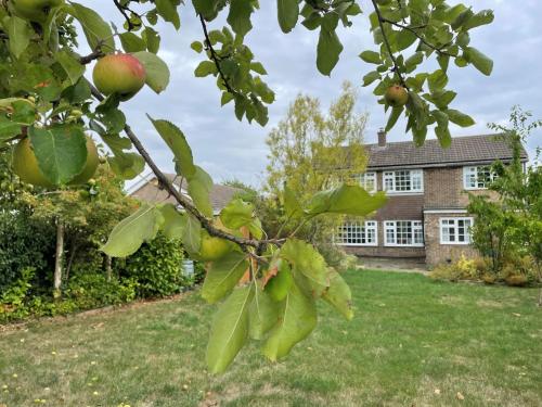 Kert, Meadow Lark in Ropsley