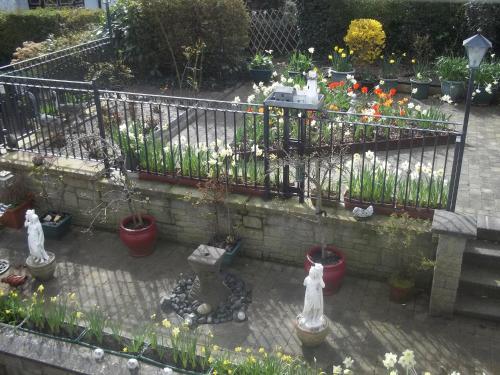 St Judes B&B - image 11