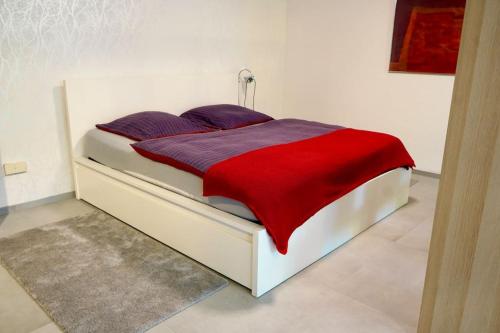 Helle Kellerwohnung im Grünen mit Sauna in Köln, Deutschland