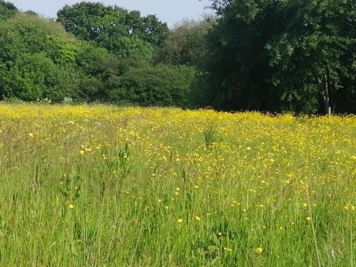 Martha's retreat in Holt (Dorset)