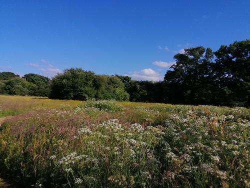 Martha's retreat in Holt (Dorset)
