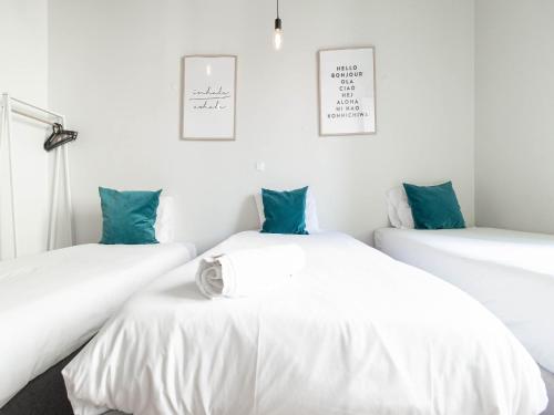 Akicity Alameda Fusion - image 7