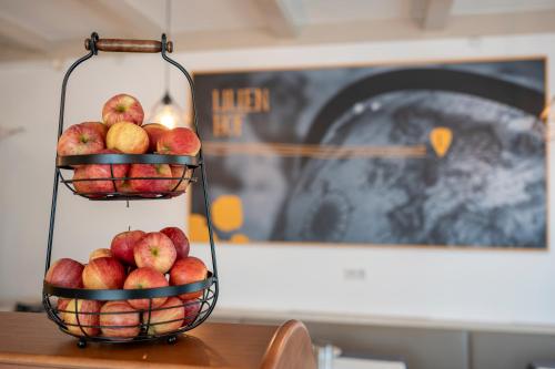 Salzburg Hotel Lilienhof - image 3