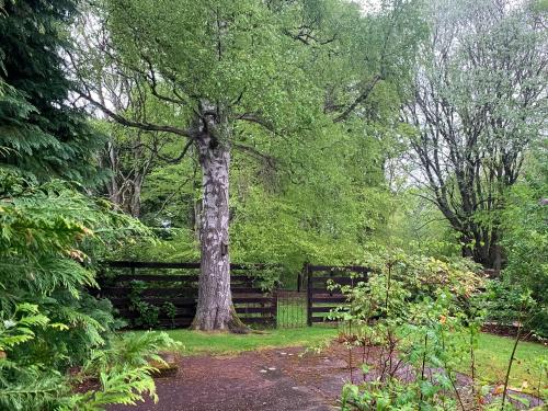 Foresters Cottage