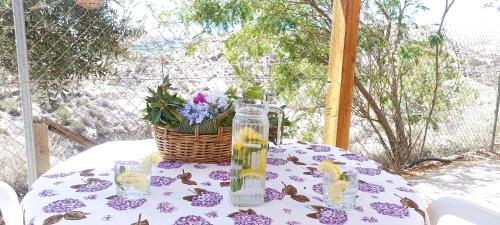  Los Roblecillos in Pechina