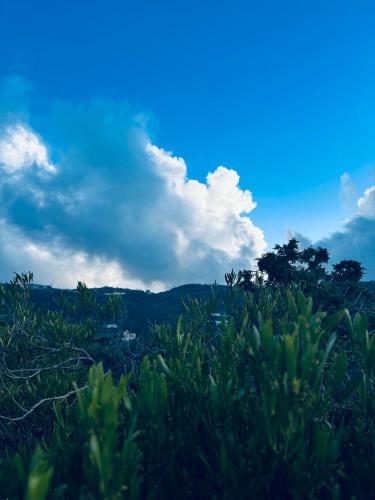 استراحة ديم, Abha (foto 2)