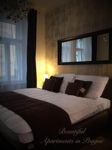 Beautiful Apartments in Prague
