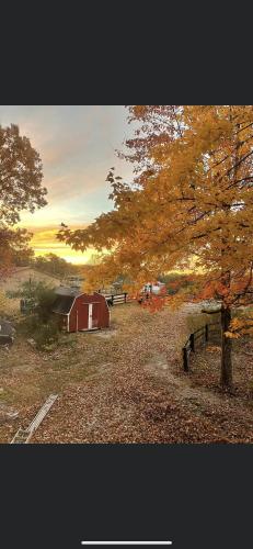 Country Roads cabin in Rugby (TN)