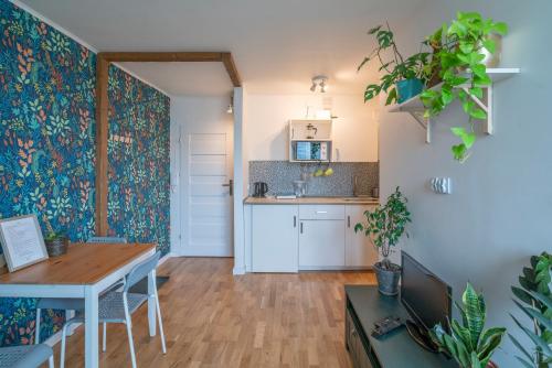 Green studio in the city center of Wroclaw, Wrocław (zdjęcie 6)