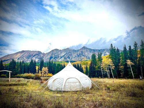 Glamorous RiverYurt Breakfast No Fees 10 in Buena Vista, USA