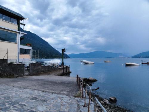Natura tra bosco e lago 5