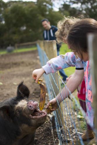 Freshwater Creek Cottages & Farm Stay