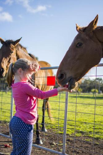 Freshwater Creek Cottages & Farm Stay