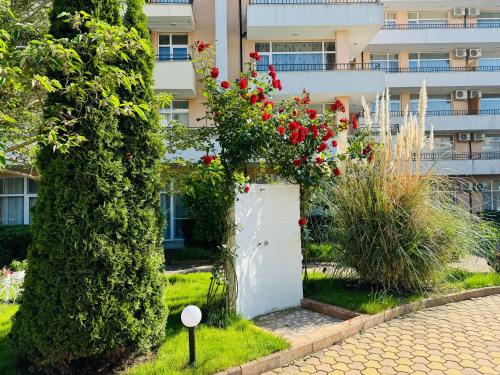 GRAND KAMELIA B 28 Large Studio Sunny Beach - image 2