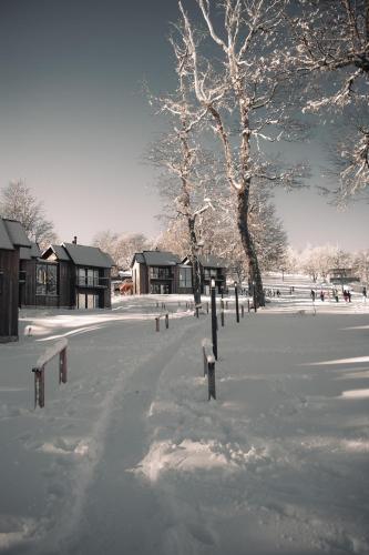 RentUp - Experimenta la belleza de San Martin de los Andes in Chapelco