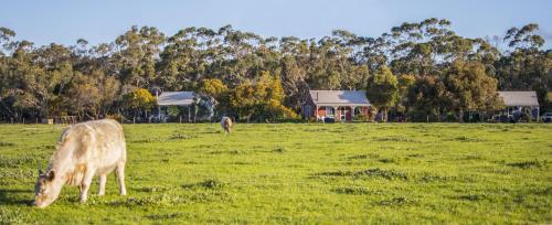 Freshwater Creek Cottages & Farm Stay
