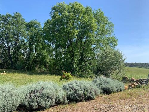 Agréable maison dans les vignes, 8 min de la plage - Location saisonnière - Aléria