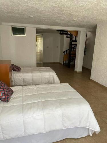 Casa Lorenza, Cancún (photo 8)