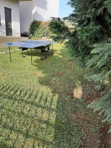 studio yannis leonidas in Mpournias