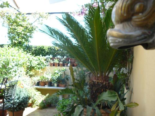 La Terrazza dei Pelargoni B&B - image 11