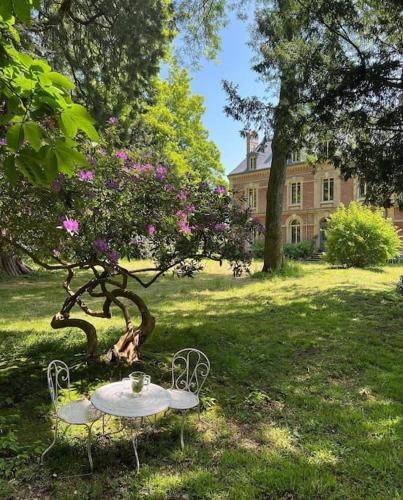 Garden, Les sequoias geants in Ectot-l'Auber