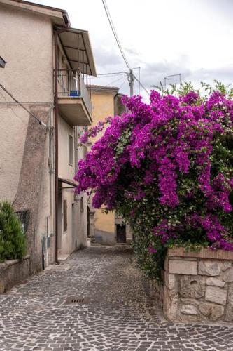 Casa vacanza La Seggiara