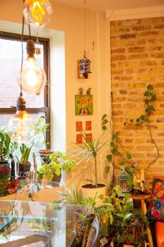 Sunny Character-Filled Apartment in Trendy Ukrainian Village in Chicago, USA
