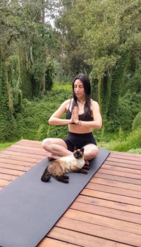 Roca Lodge in อลังกาซี