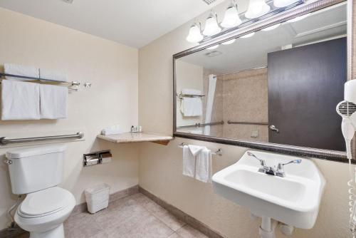 Quality Hotel Americana Nogales - image 3