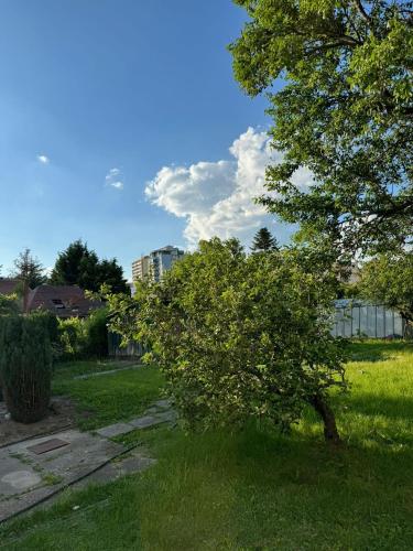 No 13 House Raca, Bratislava (Foto 7)