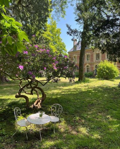 Garden, Les sequoias geants in Ectot-l'Auber