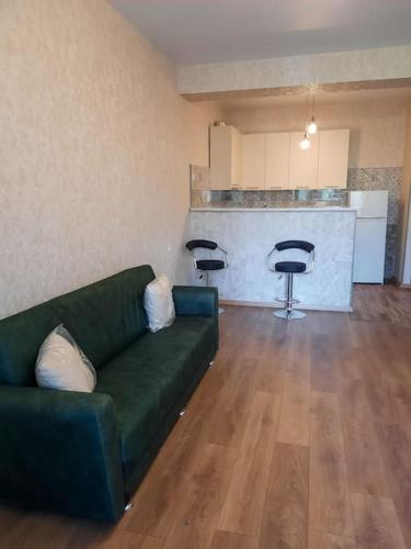Monthly rent for the Didi Dighomi Apartment