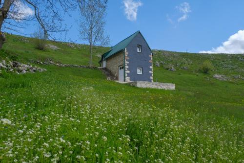 4NORTH Tiny house on the Durmitor's ring - Location saisonnière - Pišče