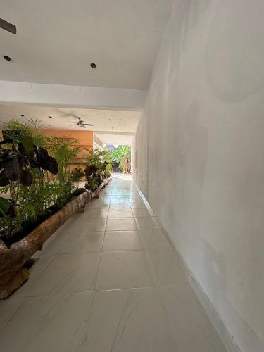 Lura Bacalar in Bacalar