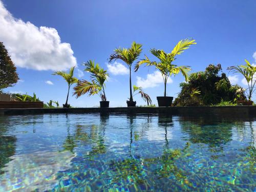 Jardim, F3 Hibiscus - piscine chauffée - vue mer - 9 min de la plage - Ti Zwézo Paradi (F3 Hibiscus - piscine chauffee - vue mer - 9 min de la plage - Ti Zwezo Paradi) in La Trinite