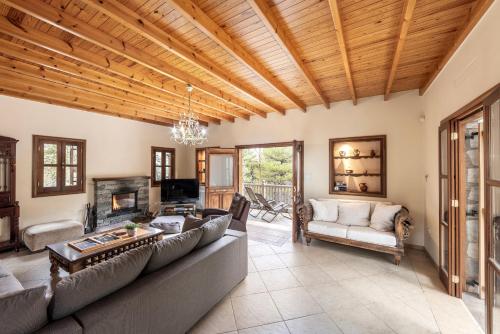 共用Lounge/電視區, Troodos Mature Pine Chalet in 佩多拉斯