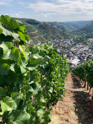 Relaxen im Weindorf Mayschoß Fewo 2