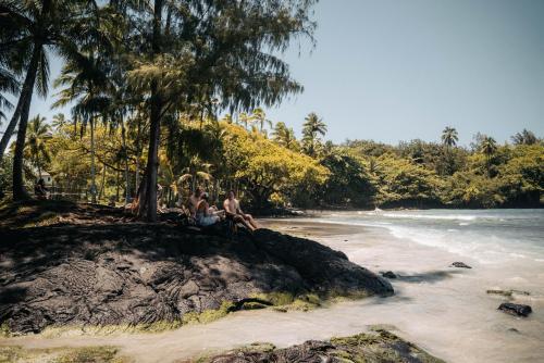 Hilo Bay Hostel - image 10