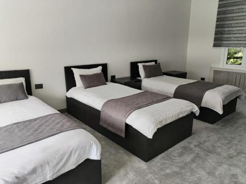 3 twin beds