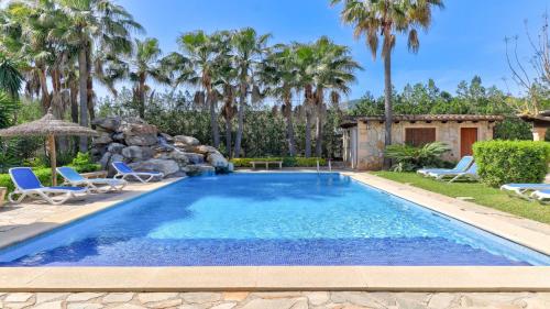 Las Palmeras Las Palmeras