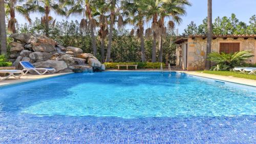 Las Palmeras Las Palmeras