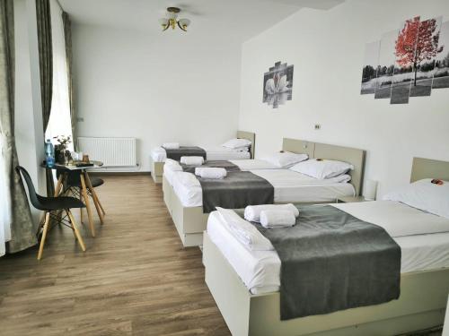 Adriana Touristik Hostel 3 Stele Arad in Арад