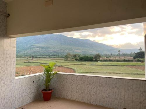 Apkārtne, THE MOUNT VIEW CASTLE HOTELS and RESORTS in Courtallam